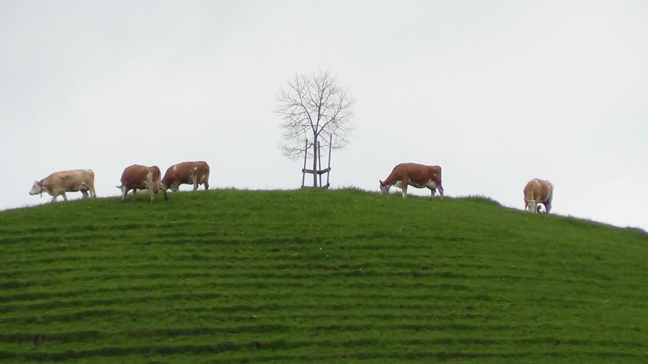 Ferienhof Krinde Ringoldswil Zewnętrze zdjęcie